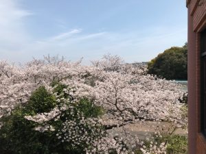 園芸公園④