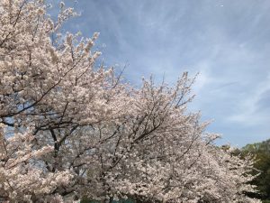 園芸公園③