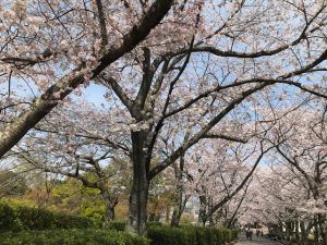 園芸公園①